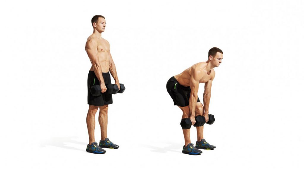stiff-leg-dumbbell-deadlift-how-to-benefits-muscles-worked
