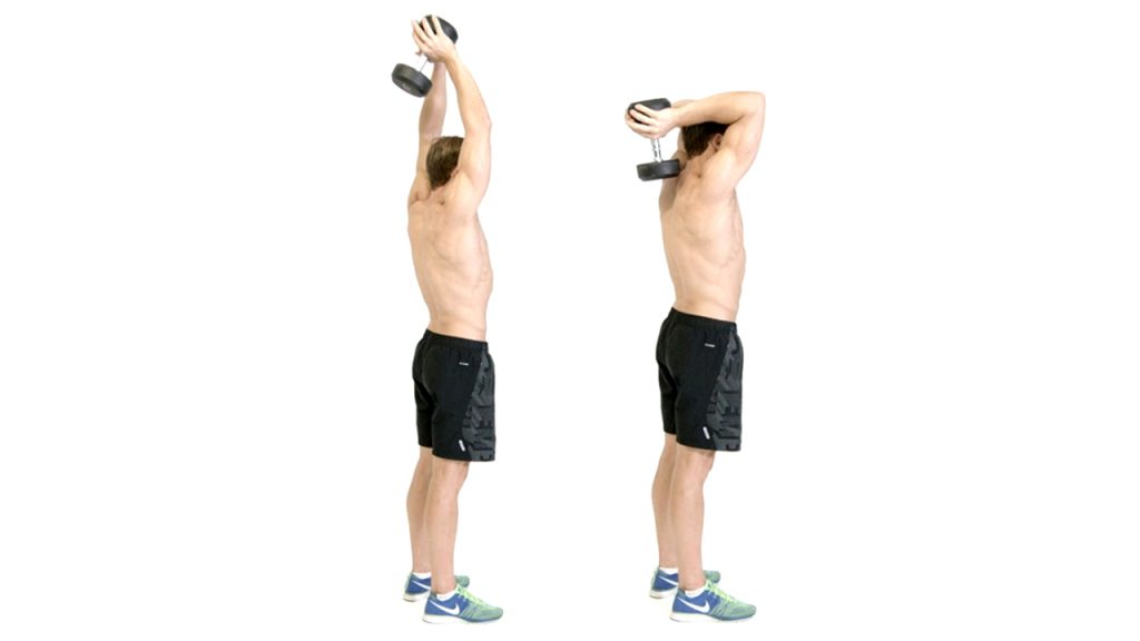 Dumbbell French Press Exercise Seated, Standing & Lying